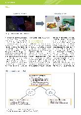 Vorschauseite 3: Digitale Reminiszenzarbeit - eine explorative Fallstudie in der stationären Langzeitpflege