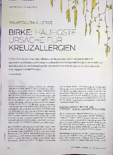 Vorschauseite 1: Birke: Häuffigste Ursache für Kreuzallergien