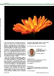 Vorschauseite 3: Aufsuchende psychiatrische Pflege