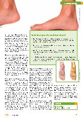 Vorschauseite 2: Was bringen Barfußschuhe?