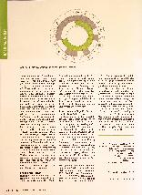 Vorschauseite 2: Gesundheitsfördernde Umgebungen im Krankenhausbau: Biophilic Design und Healing Architecture