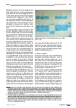 Vorschauseite 2: Vom Informationsverbund Basel Bern zu SLSP – eine noch nicht abgeschlossene Transformation
