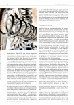 Vorschauseite 2: Dissoziation - Krise oder „safe space“? Zum Umgang mit dem Traumafolge-Symptom