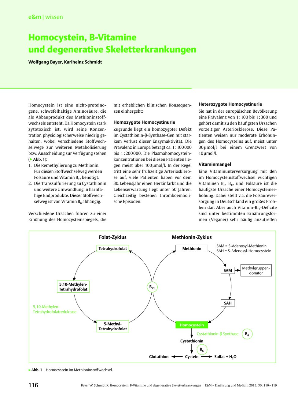 Vorschauseite 1: Homocystein, B-Vitamine und degenerative Skeletterkrankungen