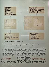Vorschauseite 2: Phänomene richtig erkennen: Die Pflegediagnose „Fatigue" und ihre Bedeutung für die weitere Behandlung