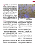 Vorschauseite 2: Weil-Krankheit – meldepflichtige Leptospirose Zoonose, die auf den Menschen übertragen werden kann.