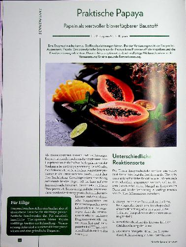 Vorschauseite 1: Praktische Papaya Papain als wertvoller bioverfügbarer Baustoff.