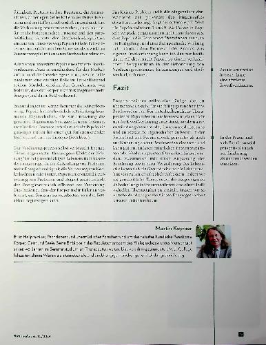 Vorschauseite 4: Praktische Papaya Papain als wertvoller bioverfügbarer Baustoff.