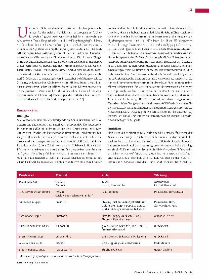 Vorschauseite 2: Bakteriocine (inklusive Lantibiotika) Antibakterielle Peptide von Bakterien im Kampf gegen die Verwandtschaft (mit Exkurs: Mykocine)