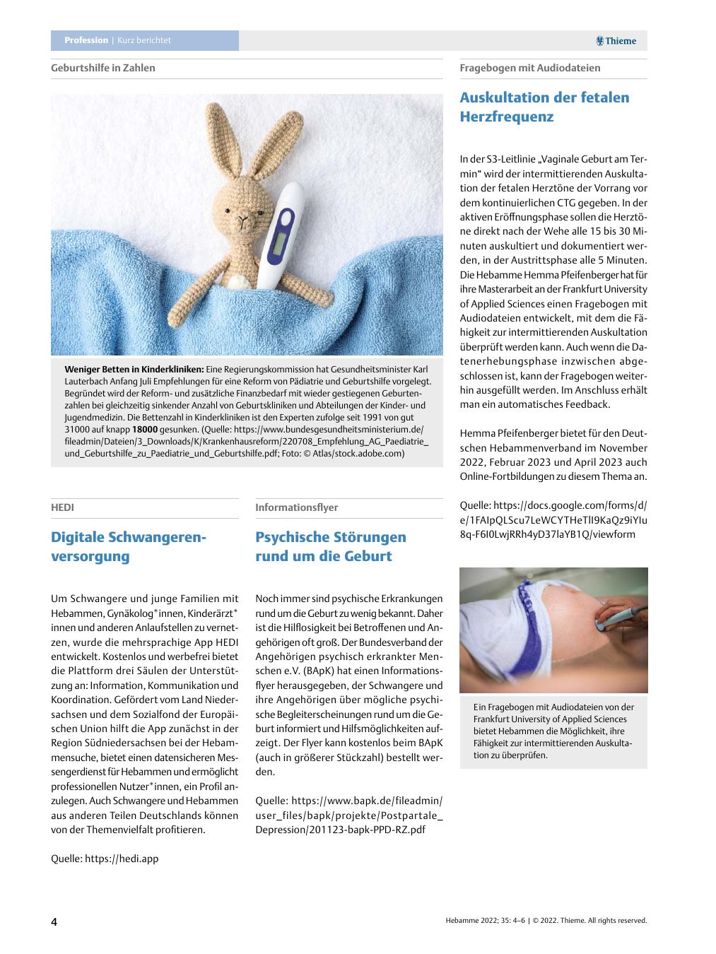 Vorschauseite 1: Digitale Schwangeren-versorgung