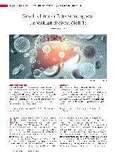 Vorschauseite 1: Geschichte der Erforschung von Leberkrankheiten (Teil 1)