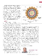 Vorschauseite 4: Geschichte der Erforschung von Leberkrankheiten (Teil 1)