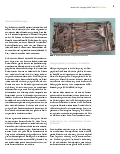 Vorschauseite 2: Die Medical Device Regulation aus der Sicht eines Aufbereiters