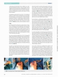 Vorschauseite 5: Implantation einer Knie-Totalendoprothese