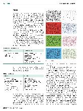 Vorschauseite 2: Die Auswirkung von Farben auf die Raumwahrnehmung von Patienten mit visuellem Neglect: Eine multiple Einzelfallstudie