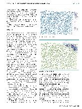 Vorschauseite 5: Die Auswirkung von Farben auf die Raumwahrnehmung von Patienten mit visuellem Neglect: Eine multiple Einzelfallstudie