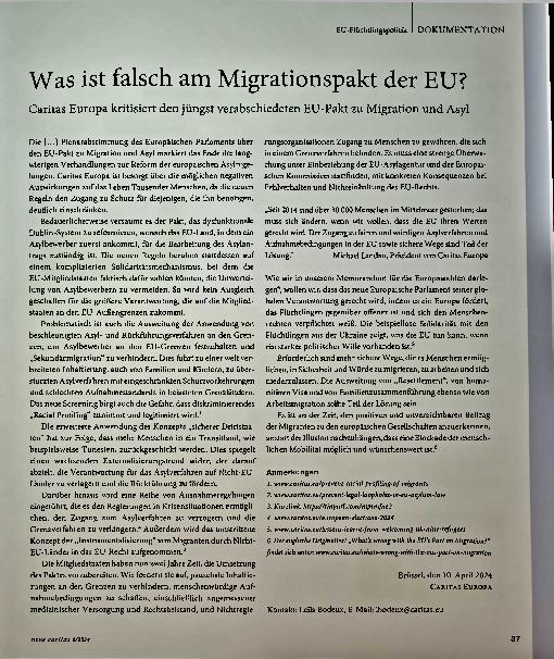 Vorschauseite 1: Was ist falsch am Migrationspakt der EU?