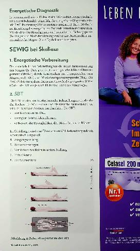 Vorschauseite 3: Haltungsweise Systemisch-Energetische Wirbelsäulenund Gelenktherapie bei Skoliose von Kindern