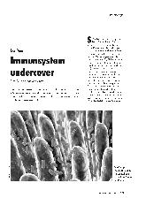 Vorschauseite 1: Der Darm Immunsystem undercover