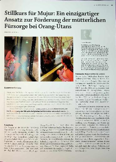 Vorschauseite 1: Stillkurs für Mujur: Ein einzigartiger Ansatz zur Förderung der mütterlichen Fürsorge bei Orang-Utans