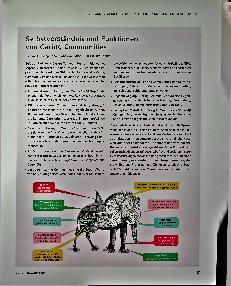 Vorschauseite 1: Selbstverständnis und Funktionen von Caring Communities