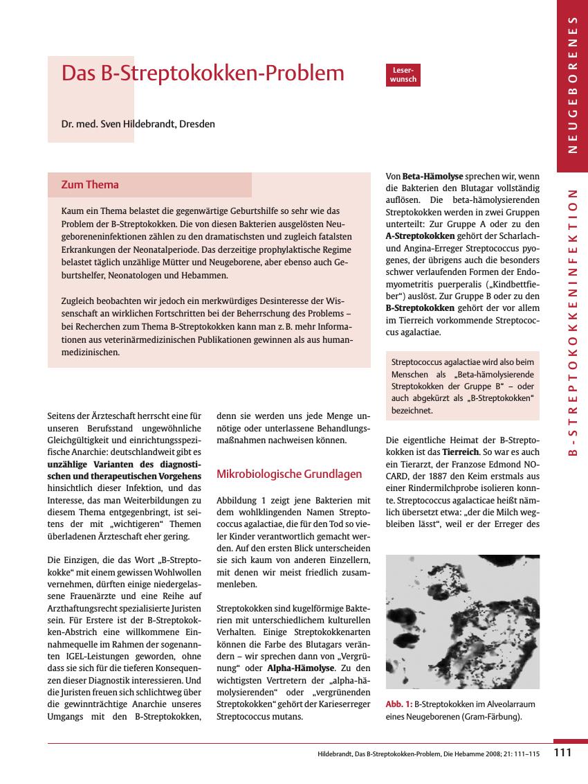 Vorschauseite 1: Das B-Streptokokken-Problem