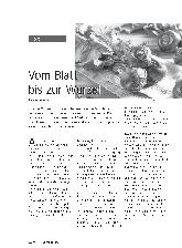 Vorschauseite 1: Vom Blatt bis zur Wurzel