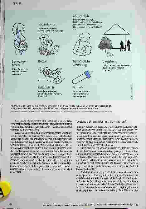Vorschauseite 5: Entwicklung der Darmflora Neugeborener, Teil 1: Erstbesiedlung mit Folgen