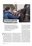 Vorschauseite 1: Strapazierter Pferderücken