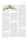 Vorschauseite 2: Ein anatomischer Recherche-Krimi: Entwicklung von 3-D-Modellen der Vulva