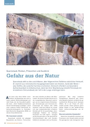 Vorschauseite 1: Quarzstaub: Risiken, Prävention und Ausblick Gefahr aus der Natur