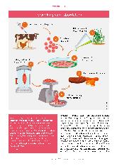 Vorschauseite 3: Wem nützt Laborfleisch?