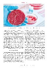Vorschauseite 5: Wem nützt Laborfleisch?