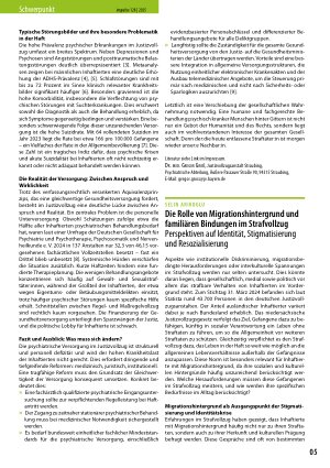 Vorschauseite 1: Die Rolle von Migrationshintergrund und familiären Bindungen im Strafvollzug Perspektiven auf Identität, Stigmatisierung und Resozialisierung
