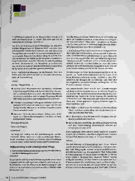 Vorschauseite 5: Pflegeausund Weiterbildung in Europa: Ein Blick über die deutschen Landesgrenzen