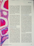 Vorschauseite 2: Corrected: Komplizierte Interaktion.
