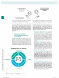 Vorschauseite 2: Ambidextrie in Teams: Wie Vielfalt in der ergotherapeutischen Praxis genutzt werden kann