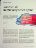 Vorschauseite 1: Knochen als immunologische Organe