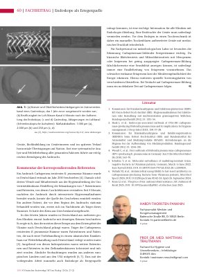 Vorschauseite 3: Endoskope als Erregerquelle Analyse eines Ausbruchs multiresistenter Klebsiella-pneumoniae-Stämme