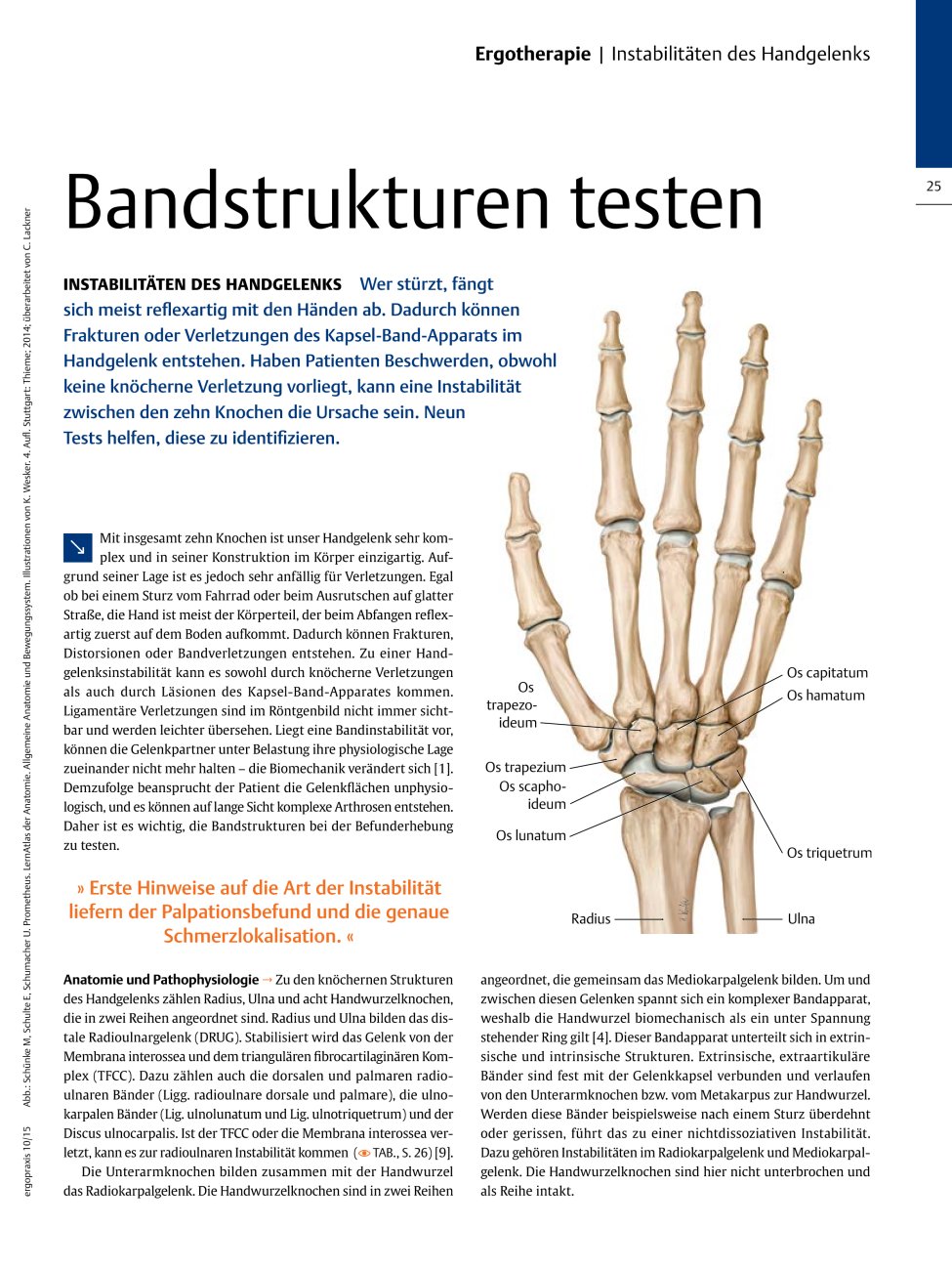 Vorschauseite 1: Bandstrukturen testen ? Instabilitäten des Handgelenks