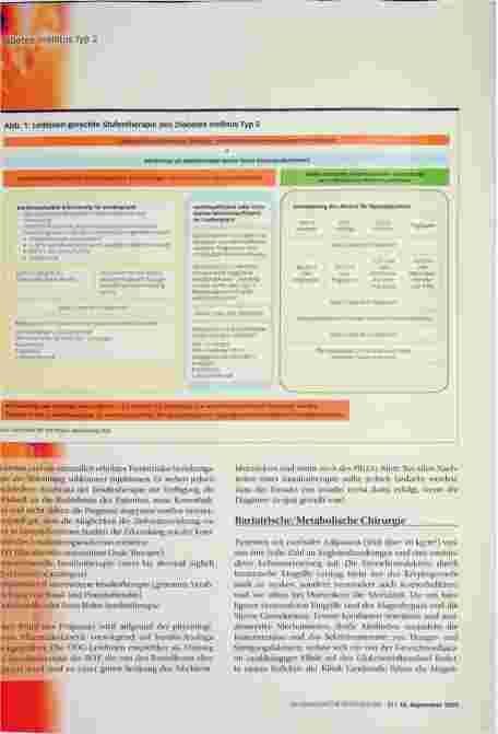 Vorschauseite 6: Diabetes mellitus Typ 2
