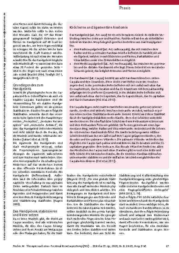 Vorschauseite 2: Das Handgelenk stabilisieren und kräftigen. Die Therapie nach einer Proximal Row Carpectomy (PRC).
