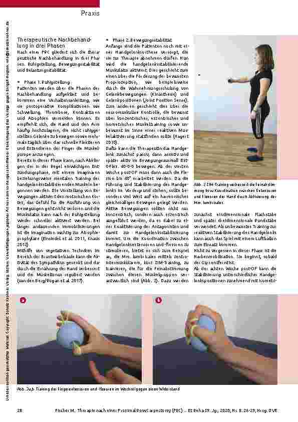 Vorschauseite 3: Das Handgelenk stabilisieren und kräftigen. Die Therapie nach einer Proximal Row Carpectomy (PRC).