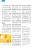 Vorschauseite 4: Kausale Faktoren Teil 2: Die Unfallanalyse - eine Frage der Perspektive?