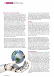 Vorschauseite 3: Zukunftstechnik oder Rohrkrepierer?