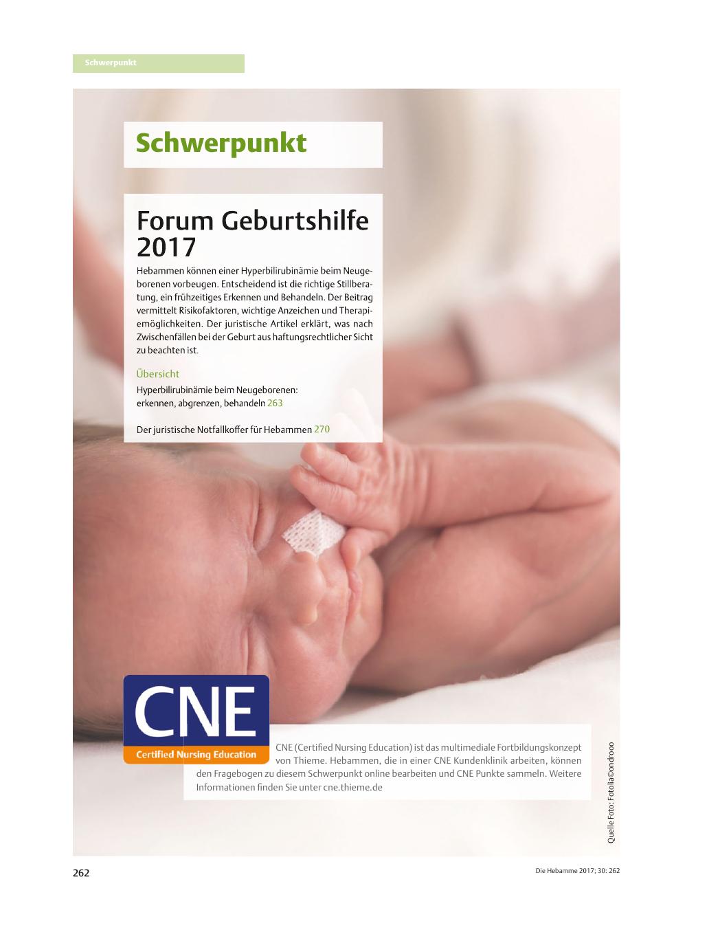 Vorschauseite 1: Schwerpunkt