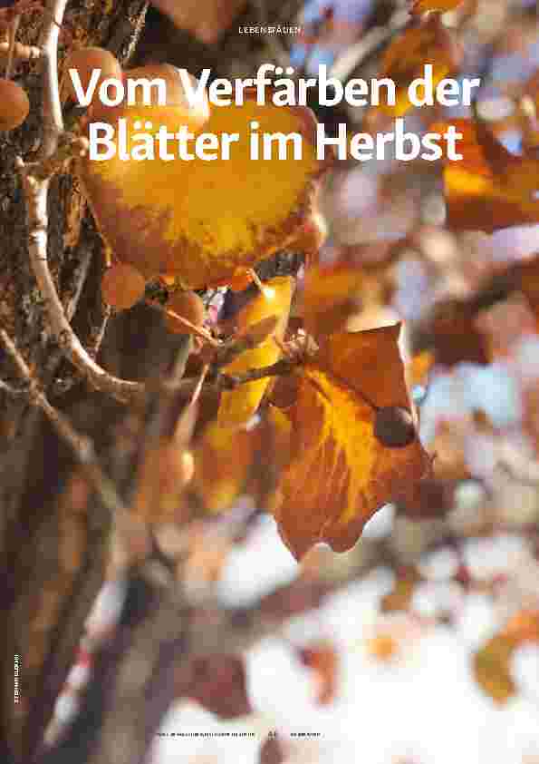Vorschauseite 1: Vom Verfärben der Blätter im Herbst