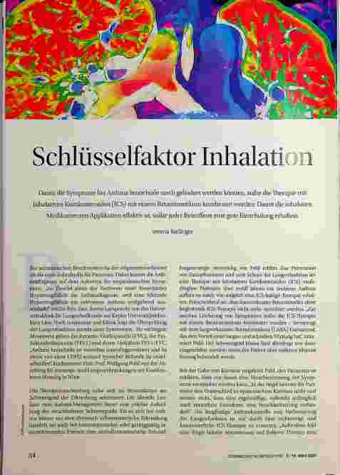 Vorschauseite 1: Schlüsselfaktor Inhalation
