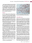 Vorschauseite 4: Bornaviren – Auslöser gefährlicher Enzephalitiden. Seltene Krankheitsfälle, aber meist tödlicher Verlauf.