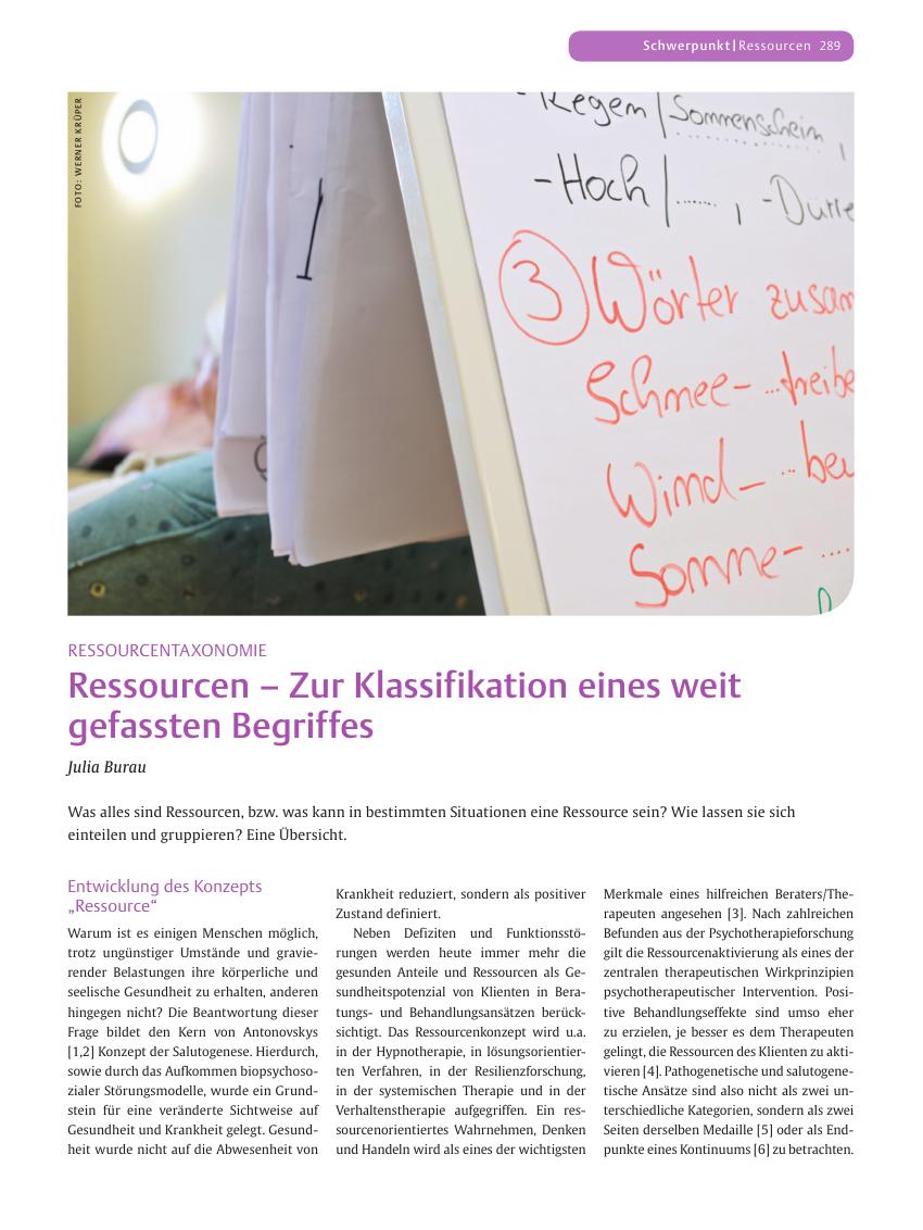Vorschauseite 1: Ressourcen? Zur Klassifikation eines weit gefassten Begriffes